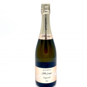 Alta Langa Brut DOCG "Cinquecento" - Vite Colte - 2021