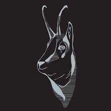 Ramiè DOC - Refourn - 2022